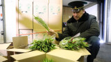 Россельхознадзор запретил ввоз цветов из Армении после заявления Шойгу о «недружественных» действиях республики
