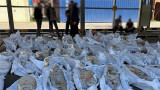 В порту Петербурга нашли полтонны кокаина