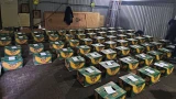 Перевозчики кокаина в Россию оказались связаны с окружением Путина