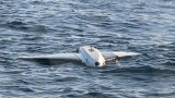 Румыния уничтожила российские беспилотники вблизи газового проекта в Черном море