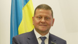 «Двенадцать лет слушал сказки». Экс-главком ВСУ Залужный заявил, что Украина «никогда» не вступит в НАТО
