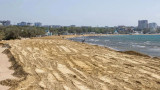 Власти засекретили данные о состоянии воды и песка в Анапе после разлива мазута