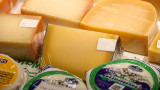 Почти 20% молочной продукции в России оказалось подделкой