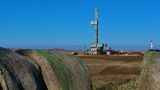 США стали крупнейшим в мире экспортёром нефти благодаря войнам в Украине и Иране 