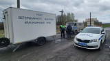 В Сибири снова начали устанавливать блокпосты после вспышки загадочной инфекции скота