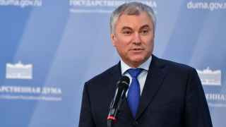 Вячеслав Володин.