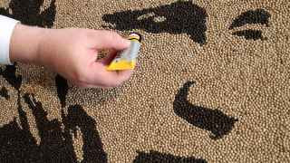 Портрет Владимира Путина из перца.