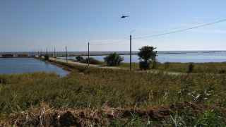 Приморск, Запорожская область