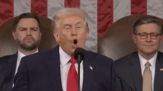 Джей Ди Вэнс, Дональд Трамп, Майк Джонсон