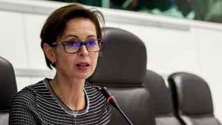 Представитель Еврокомиссии Дана Спинант.