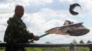 Малому бизнесу дышать все труднее