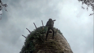 Без вырезанных сцен нельзя понять, из-за чего чуть не убили Брана Старка 