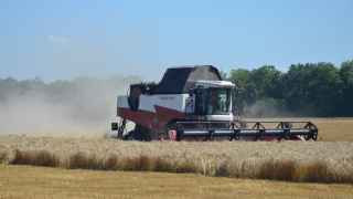 Плохой урожай – плохая новость для российской экономики