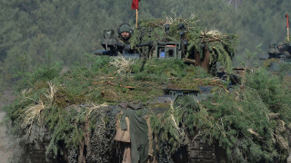 Мирный немецкий танк