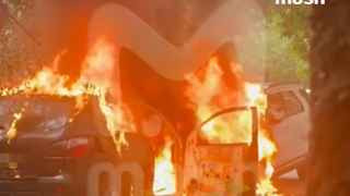 Скриншот видео с места