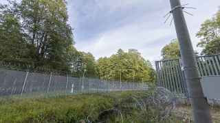 Литовский пограничный барьер на границе с Беларусью 