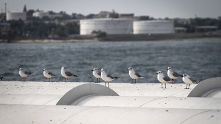 Нефтяной терминал иранской компании Iranian Oil Terminals Company