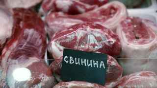 Остается надеяться, что животное не болело