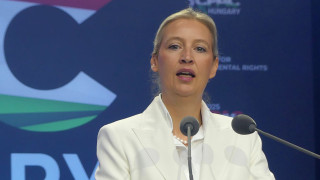 Алиса Вайдель