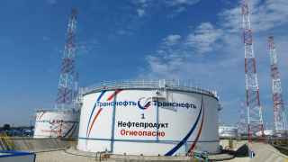 ЛПДС «Никольское-1» в Тамбовской области