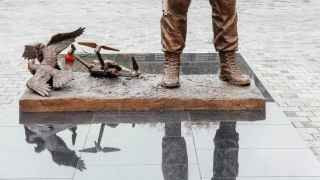 Война настолько въелась в сознание россиян, что даже птицы мира голуби запечатлены дерущимися