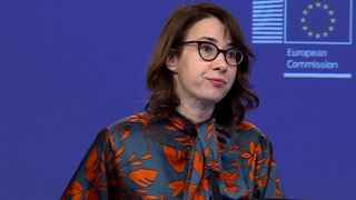 Пресс-секретарь дипломатической службы ЕС Анитта Хиппер