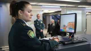 Таможенный пост в аэропорту Внуково