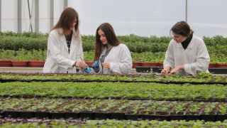 Тимирязевская академия