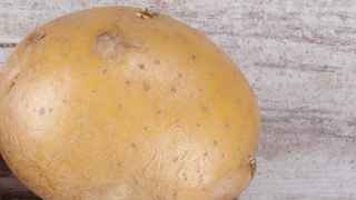 Второй хлеб, главная российская еда