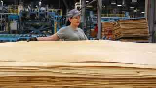 Вятский фанерный комбинат компании Segezha Group в Кирове