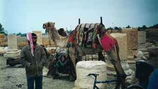 Пальмира, Сирия