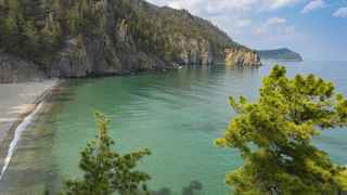 Путин дал старт сплошным вырубкам леса на Байкале