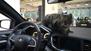 Восстановительный рост авторынка столкнулся с непреодолимыми препятствиями