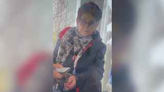 Арест женщины, поджегшей будку для голосования в Москве