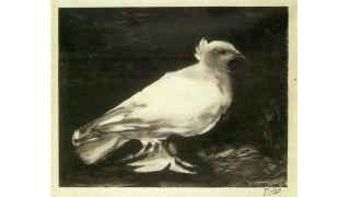 Пабло Пикассо поддался общему антиамериканизму, завернутому в идею защиты мира во всем мире