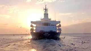 Балкер PUMA выходит из порта Одессы