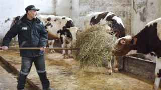 Мужская колония в Краснодарском крае    