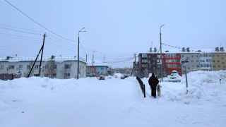 Мужчина выгуливает собаку на улице.