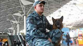 Московский аэропорт Внуково