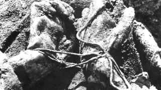 Гитлеровцы привезли в Катынь поляков, много делегаций, чтобы они своими глазами увидели связанные руки и простреленные головы