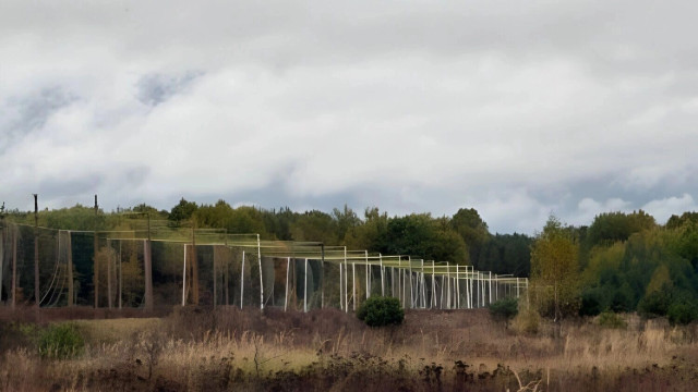 В Белгородской области начали устанавливать антидроновые коридоры