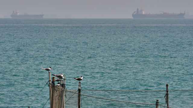 Движение через Ормузский пролив вновь остановилось после короткого оживления