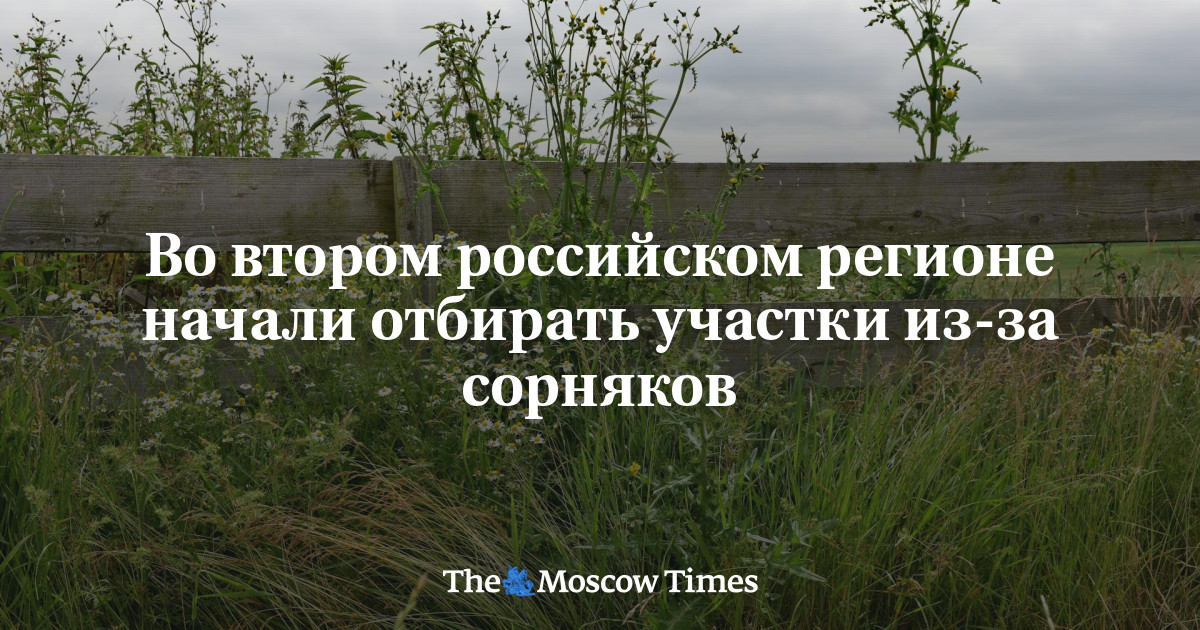 Во втором российском регионе начали отбирать участки из-за сорняков