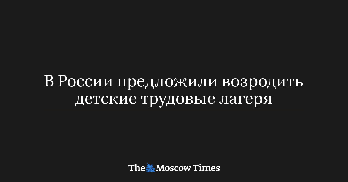 В России предложили возродить детские трудовые лагеря