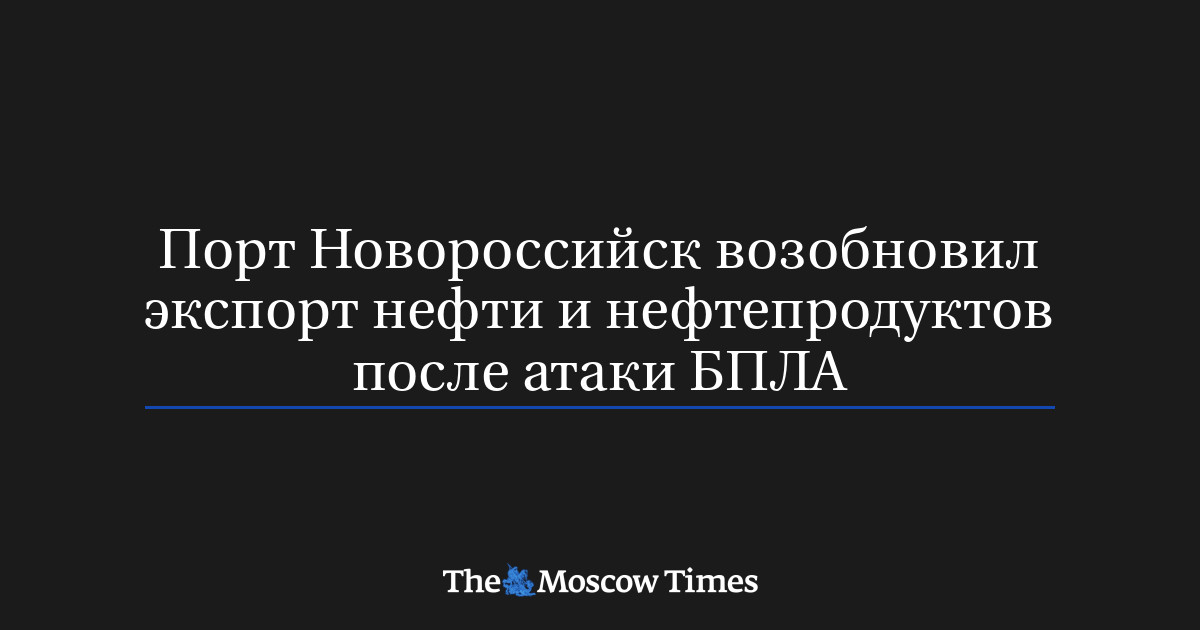 Порт Новороссийск возобновил экспорт нефти и нефтепродуктов после атаки БПЛА