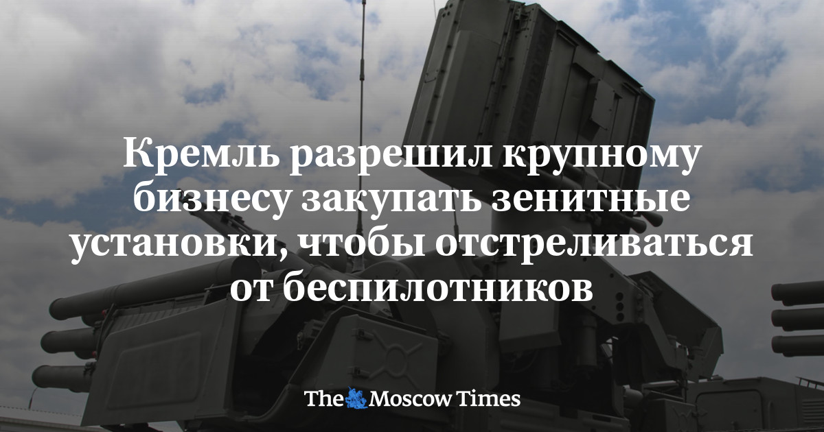 Кремль разрешил крупному бизнесу закупать зенитные установки, чтобы отстреливаться от беспилотников