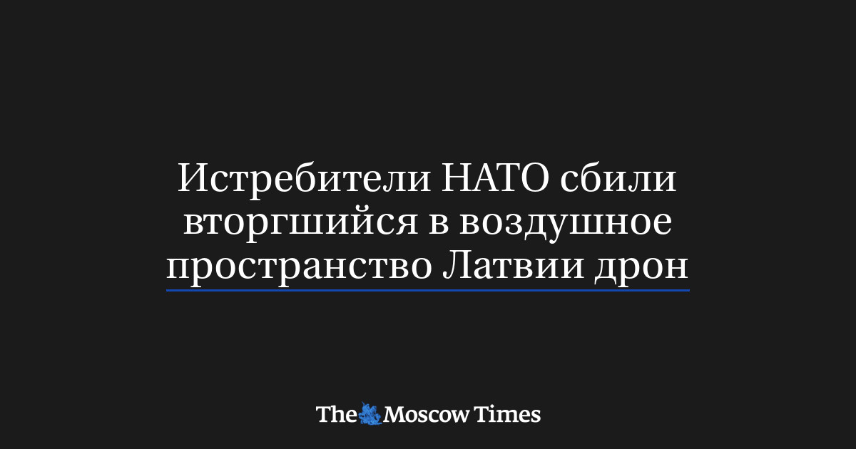 Истребители НАТО сбили вторгшийся в воздушное пространство Л